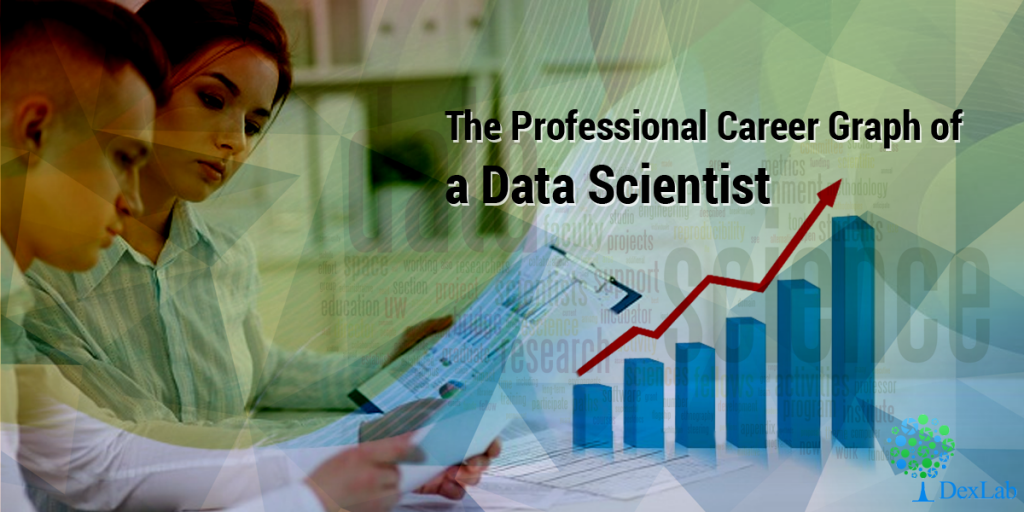 The Professional Career Graph of a Data Scientist