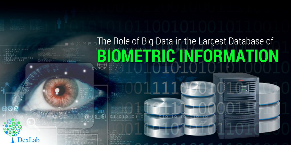 The Role of Big Data in the Largest Database of Biometric Information