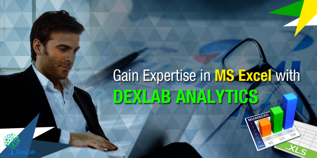 Gain Expertise in MS Excel with DexLab Analytics