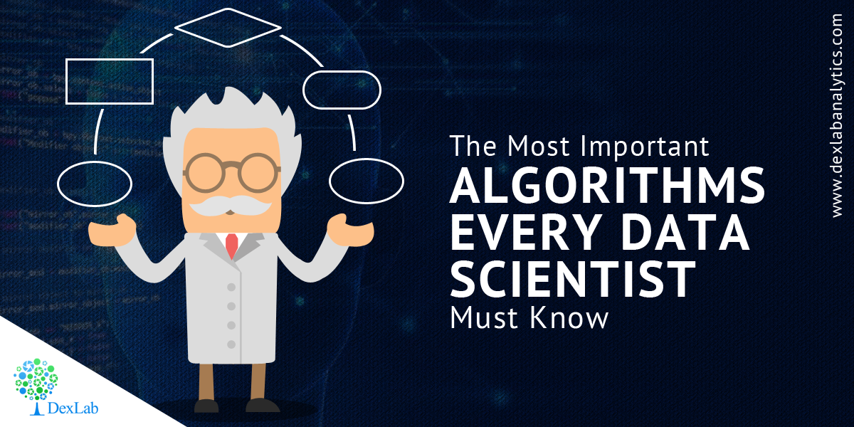 The Most Important Algorithms Every Data Scientist Must Know