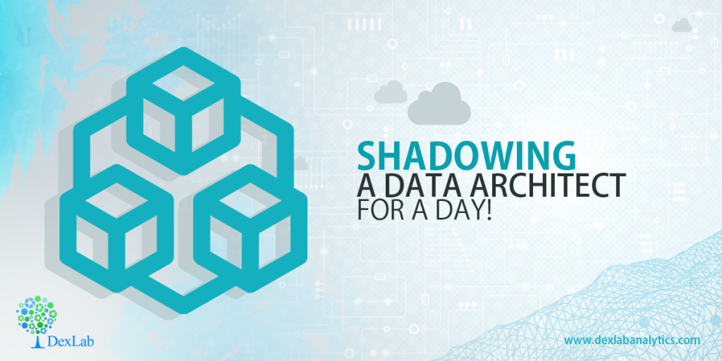 Shadowing a Data Architect for a Day!