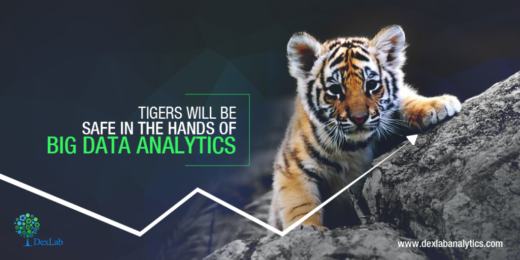 Tigers will be safe in the hands of Big Data Analytics