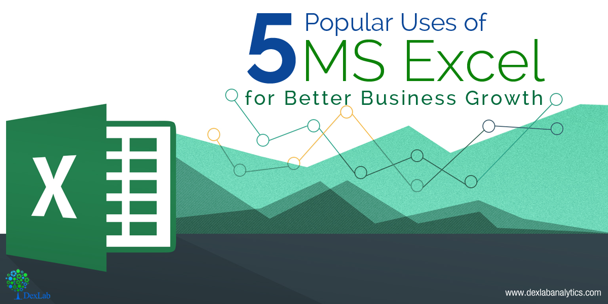 5 Popular Uses of MS Excel for Better Business Growth