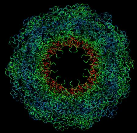 groel_deformation-web