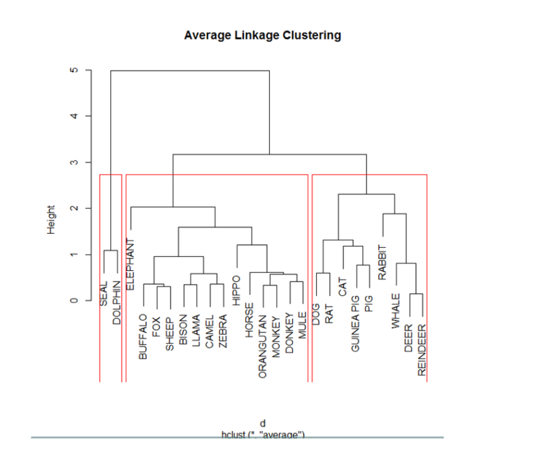 Step-by-step Guide for Implementation of Hierarchical Clustering in R