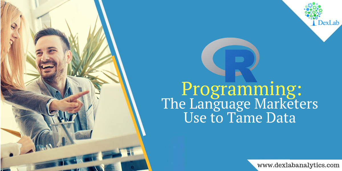 R Programming: The Language Marketers Use to Tame Data