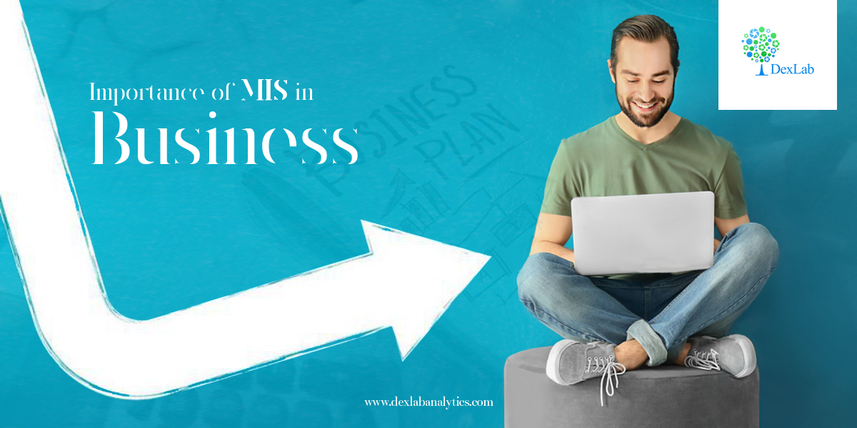 Importance of MIS in Business