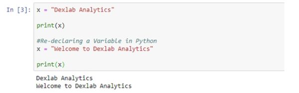 A Step-by-Step Guide on Python Variables