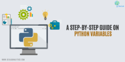 A Step-by-Step Guide on Python Variables