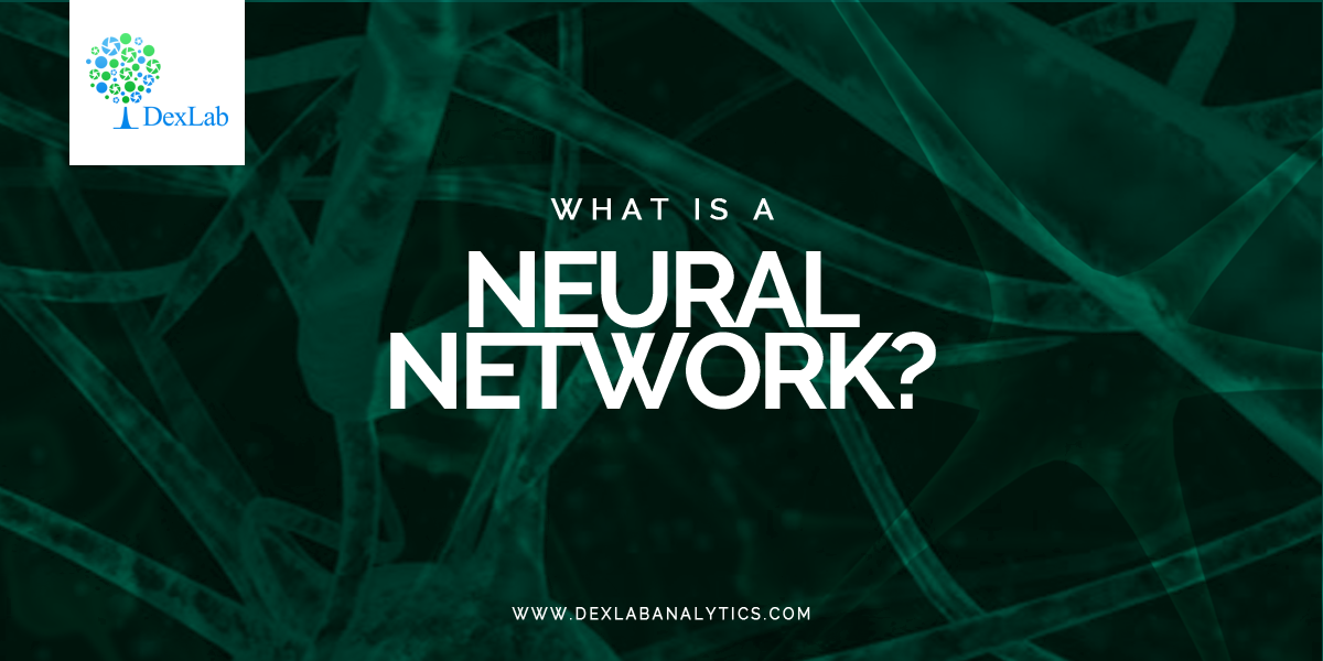 What is a Neural Network?