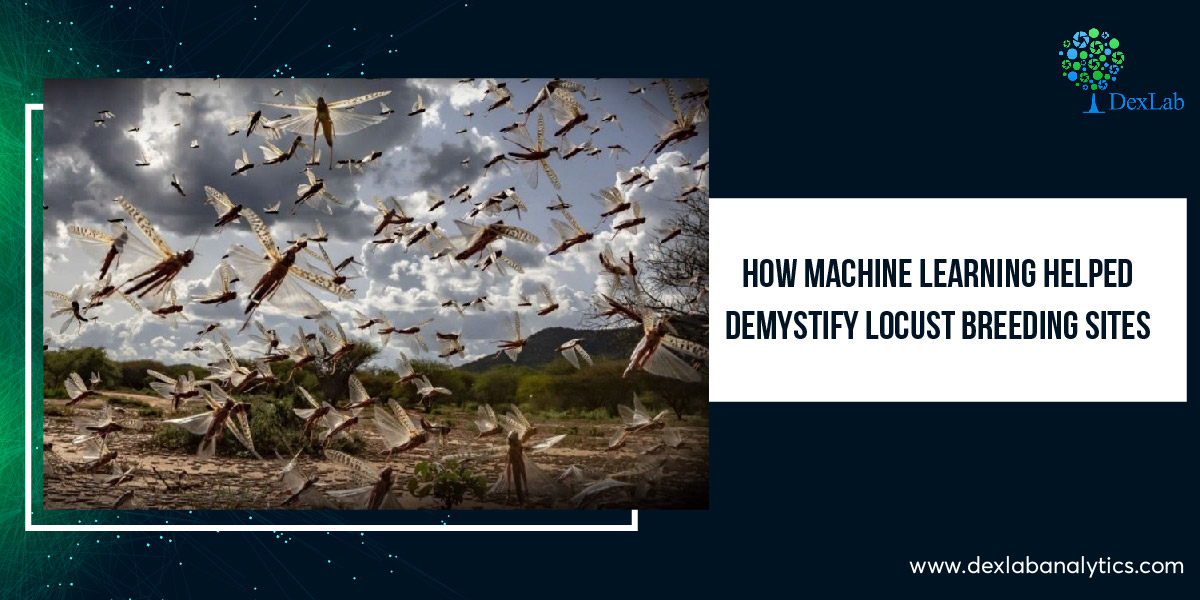 How Machine Learning Helped Demystify Locust Breeding Sites