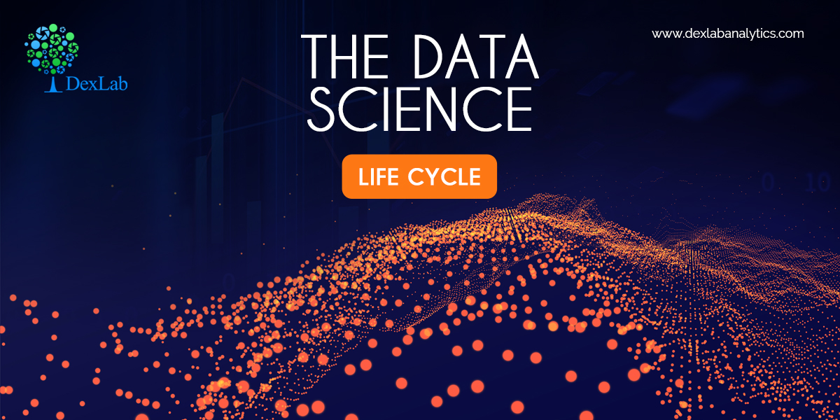 The Data Science Life Cycle