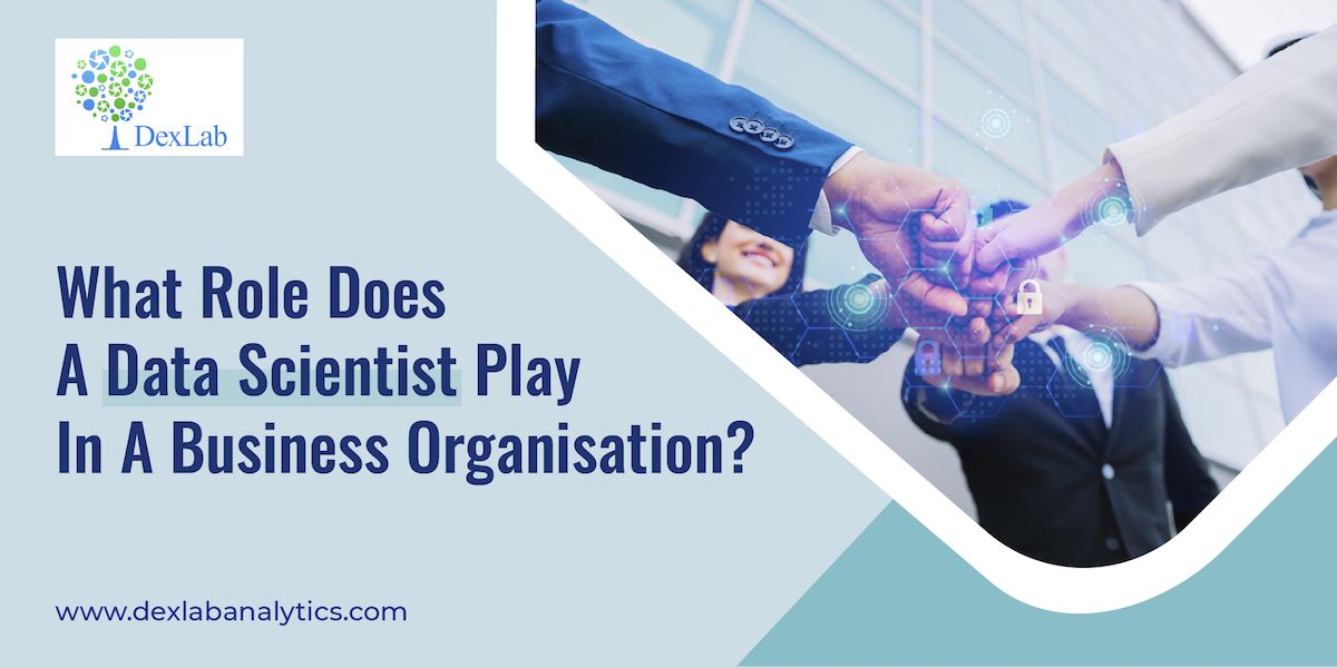 What Role Does A Data Scientist Play In A Business Organization?